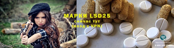 амф Володарск