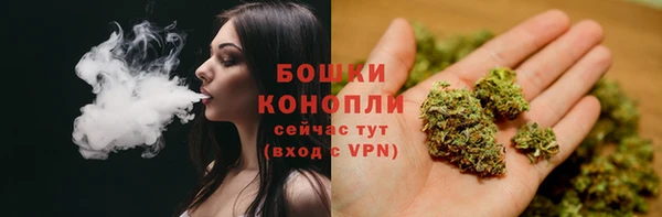 спиды Волосово
