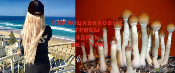 амф Володарск