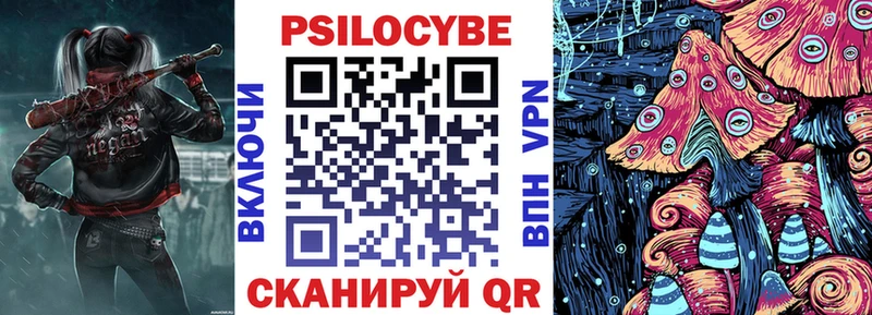 блэк спрут ONION  как найти   Северобайкальск  Псилоцибиновые грибы Psilocybine cubensis 